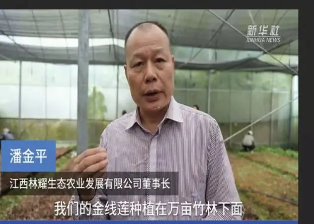 Pan Jinping, președintele Jiangxi Linyao Ecological Agriculture Development Co., Ltd., intervievat de agenția de știri Xinhua