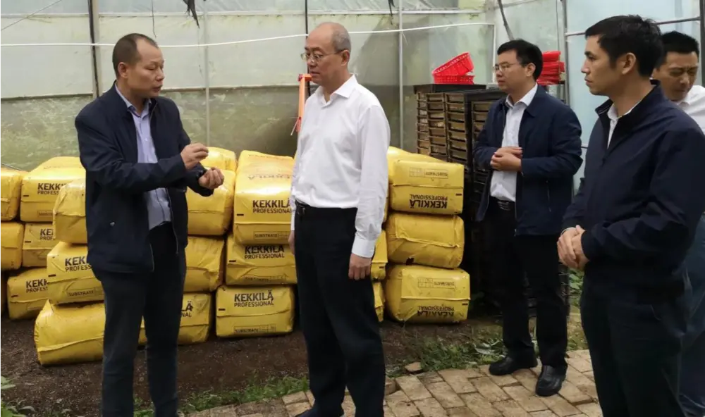 Xie Guanghua, secretar de partid și director al Administrației Provinciale Jiangxi de Medicină Tradițională Chineză, efectuează cercetări la baza de plantare Anoectochilus